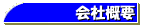 ЊTv